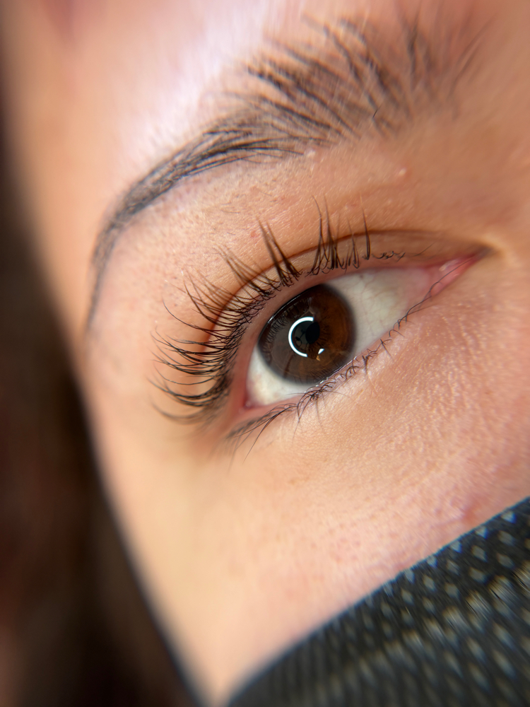 Lash Lift (No Tint)