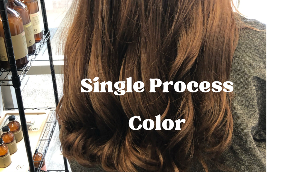 Single All-over Hair Color