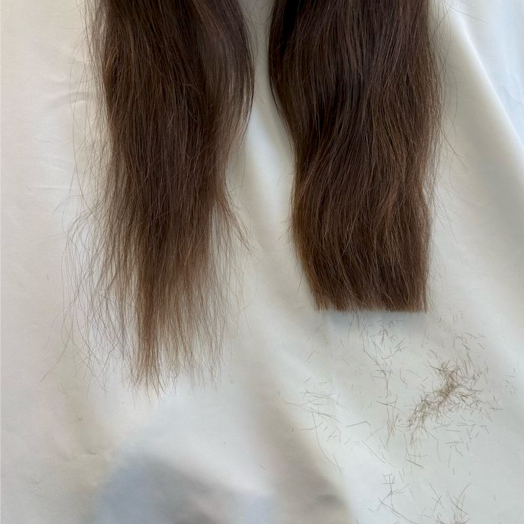 Quick Cut + Go at Ashlynn Flax in Hays, KS