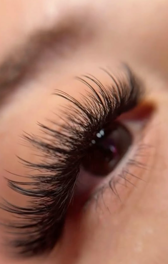 Wispy Lashes at Samantha Guzman in Beltsville Md, MD