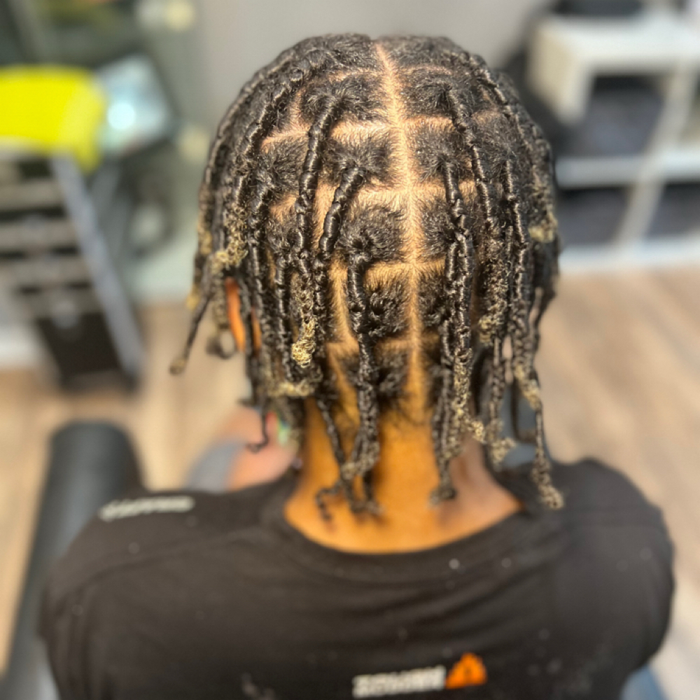 Starter Locs at Zalleah Beauty Studio in Decatur, GA