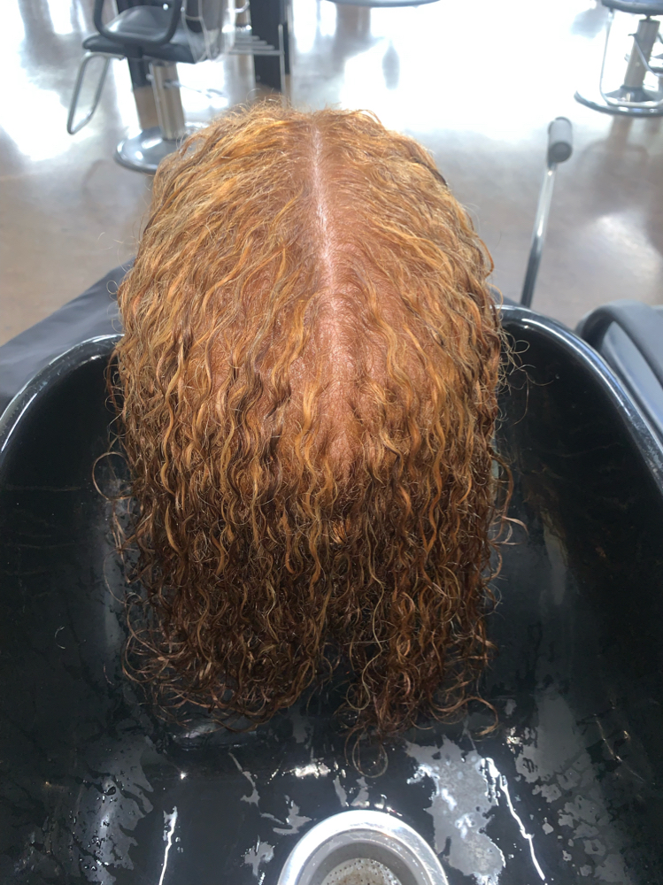 Highlights