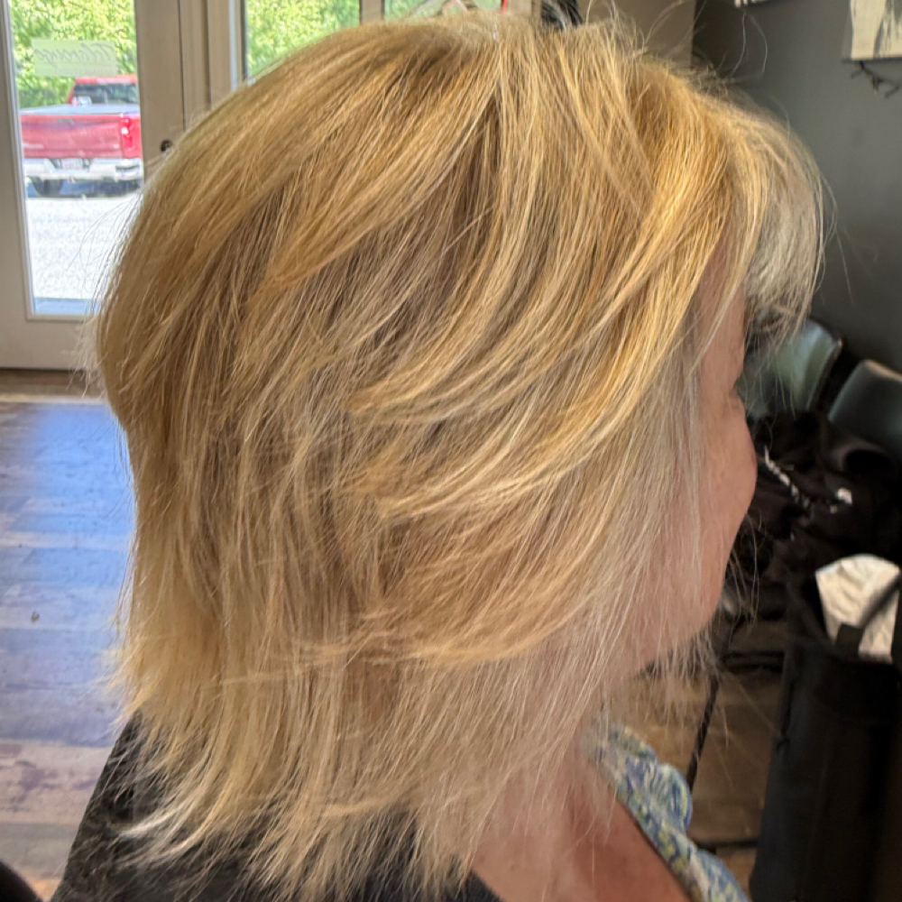Double Process at Blonde and Bronzed by Emma in Great  Barrington, MA