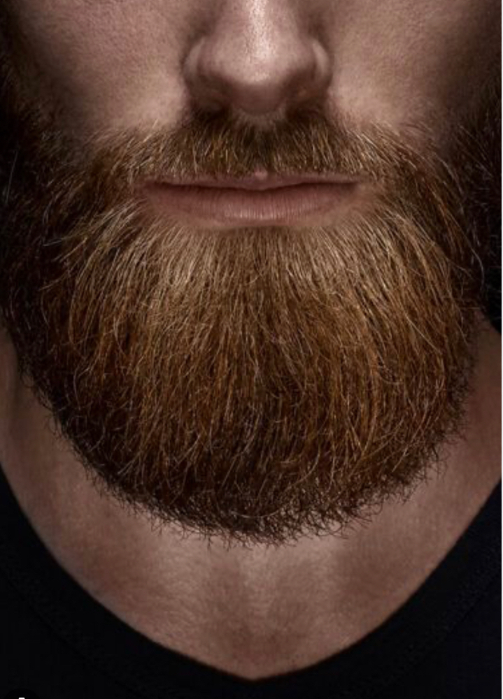 Beard at Deelightful Hair Salon in Lagrange, IL