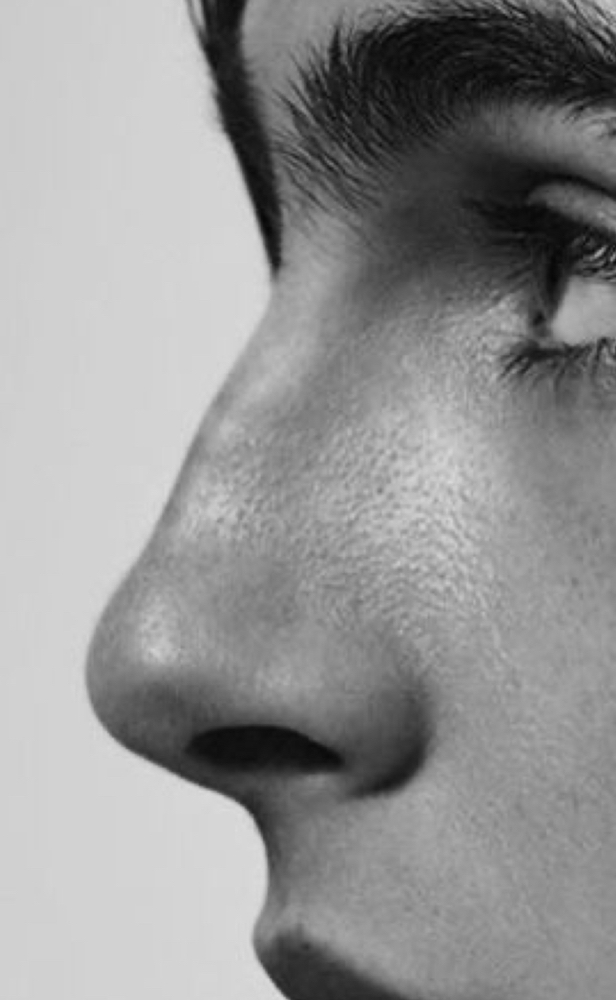 Nose