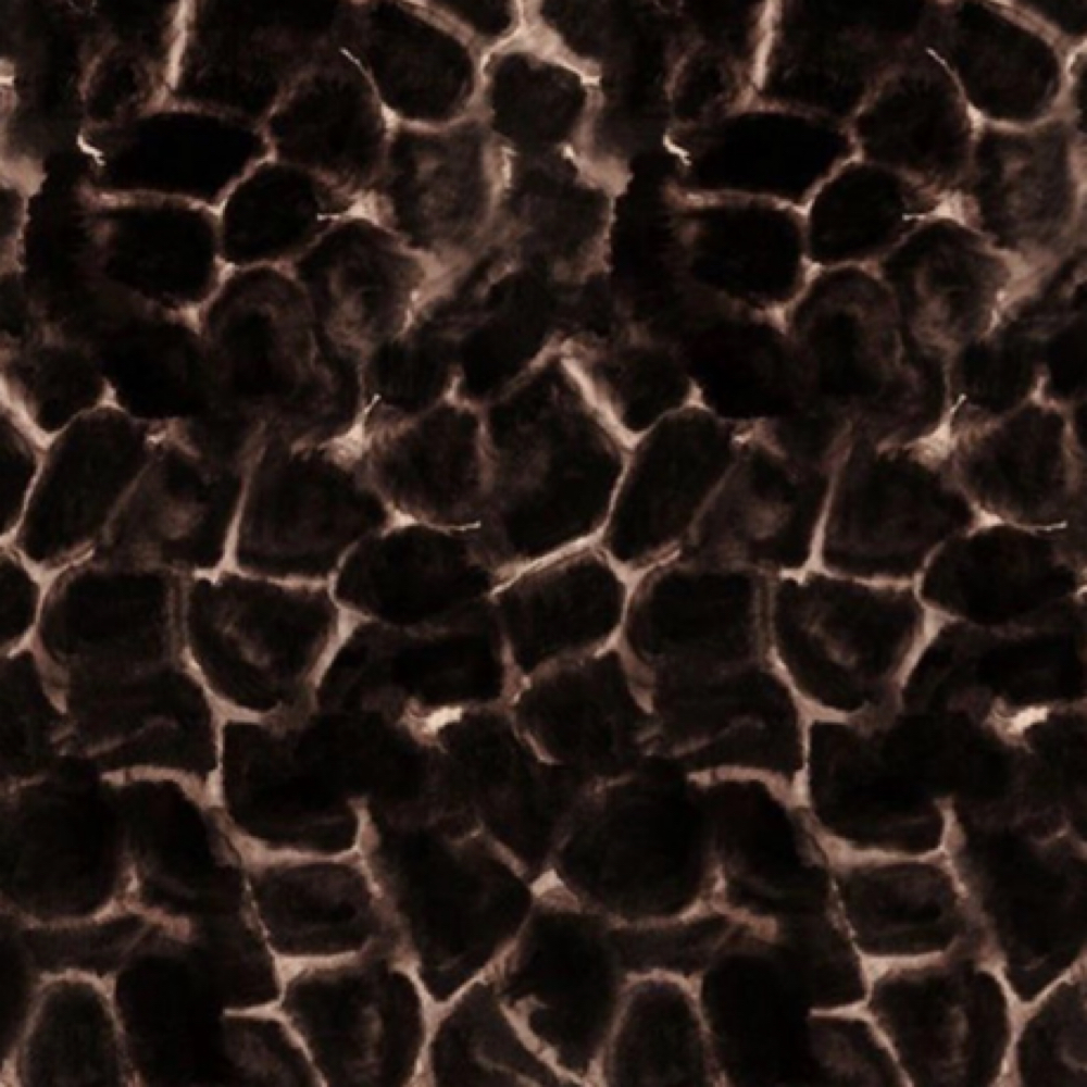 Toner at Taylor  Horton in Temecula, CA