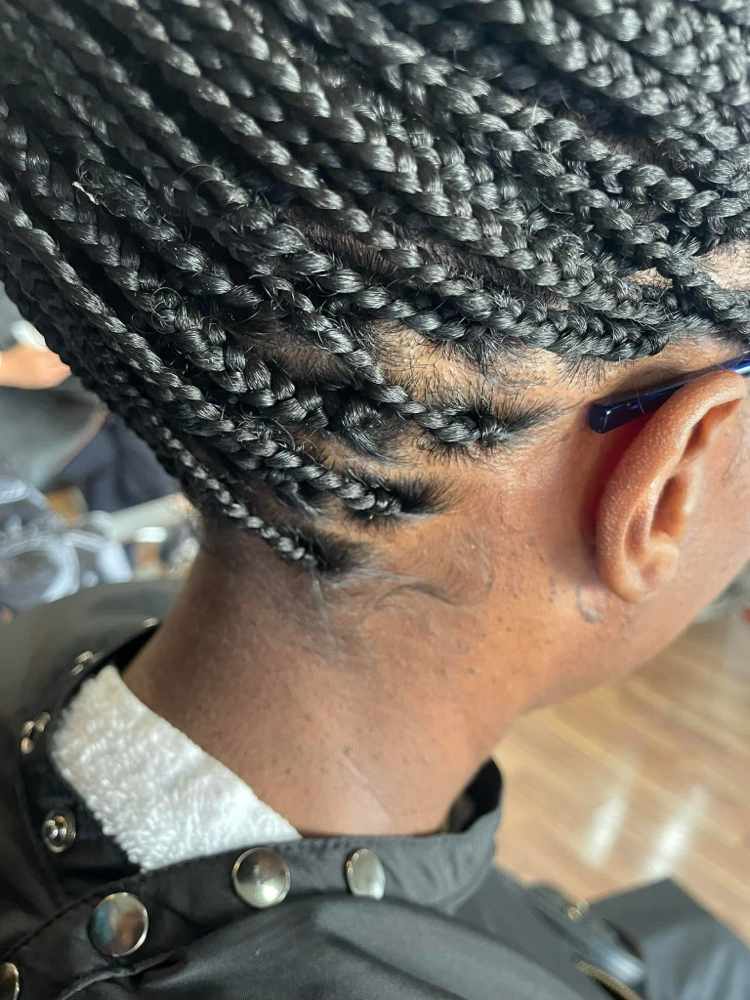 Box Braids Added Hair small