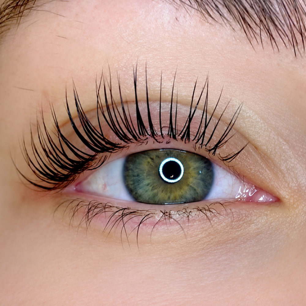 Lash lift & Tint at Palm Beach Wax Studio & Skincare in Palm Beach Gardens, FL