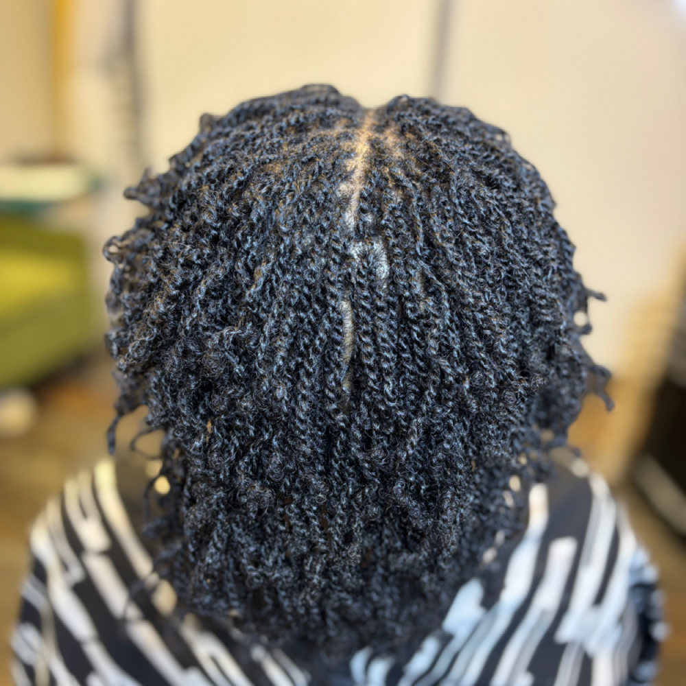 Microloc Start With 2 Strand Twist at Some Like It Loc’d in Chandler, AZ