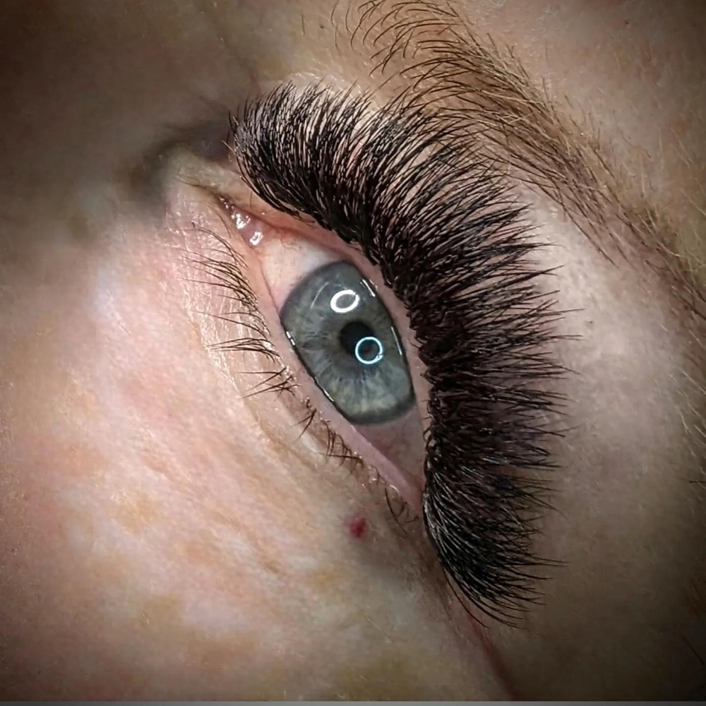 Volume | 3 Week Fill at Lux Lash and Brow in Mansfield, TX