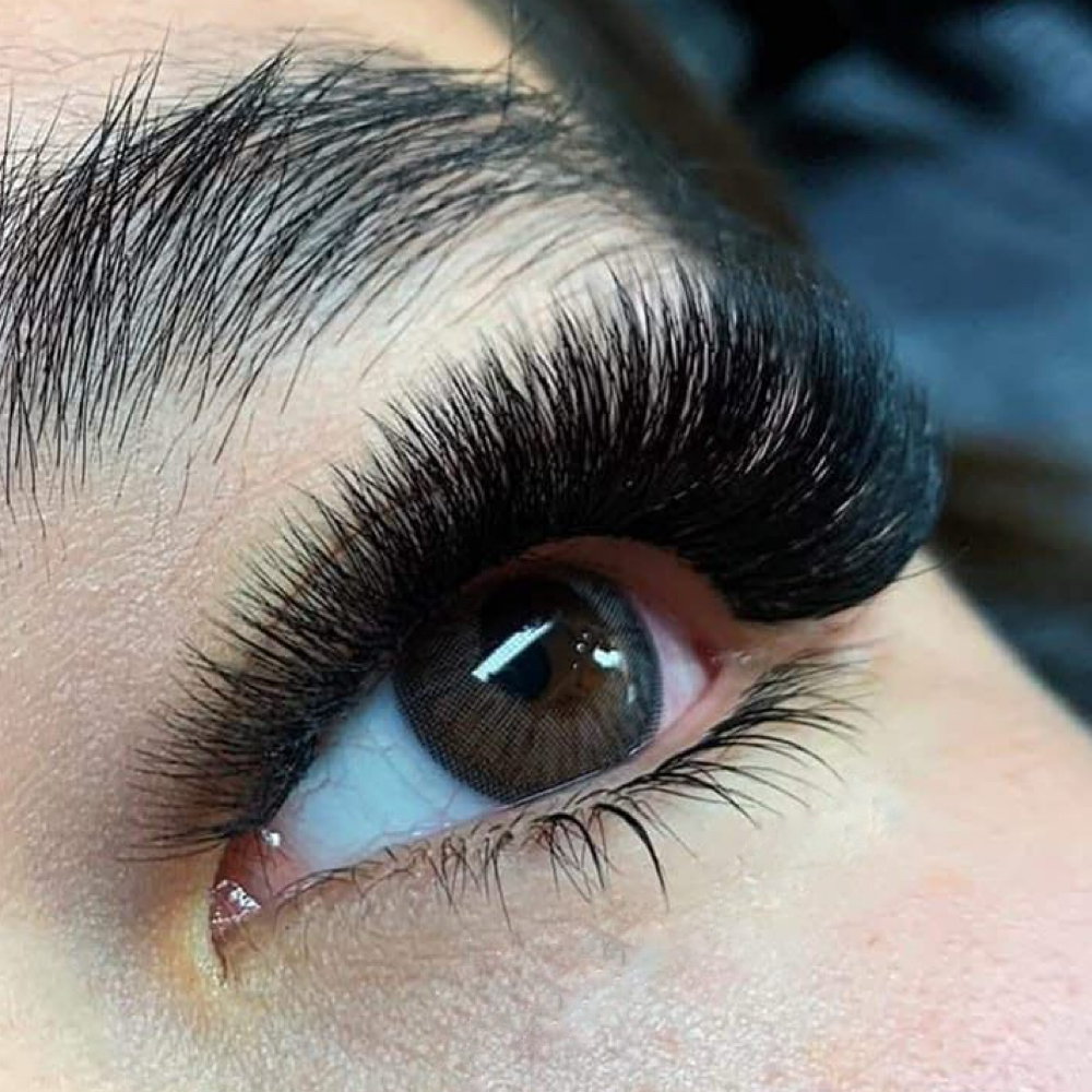 Volume | 3 Week Fill at Lux Lash and Brow in Mansfield, TX