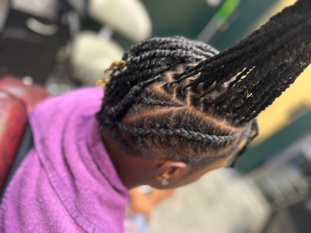 Starter Locs