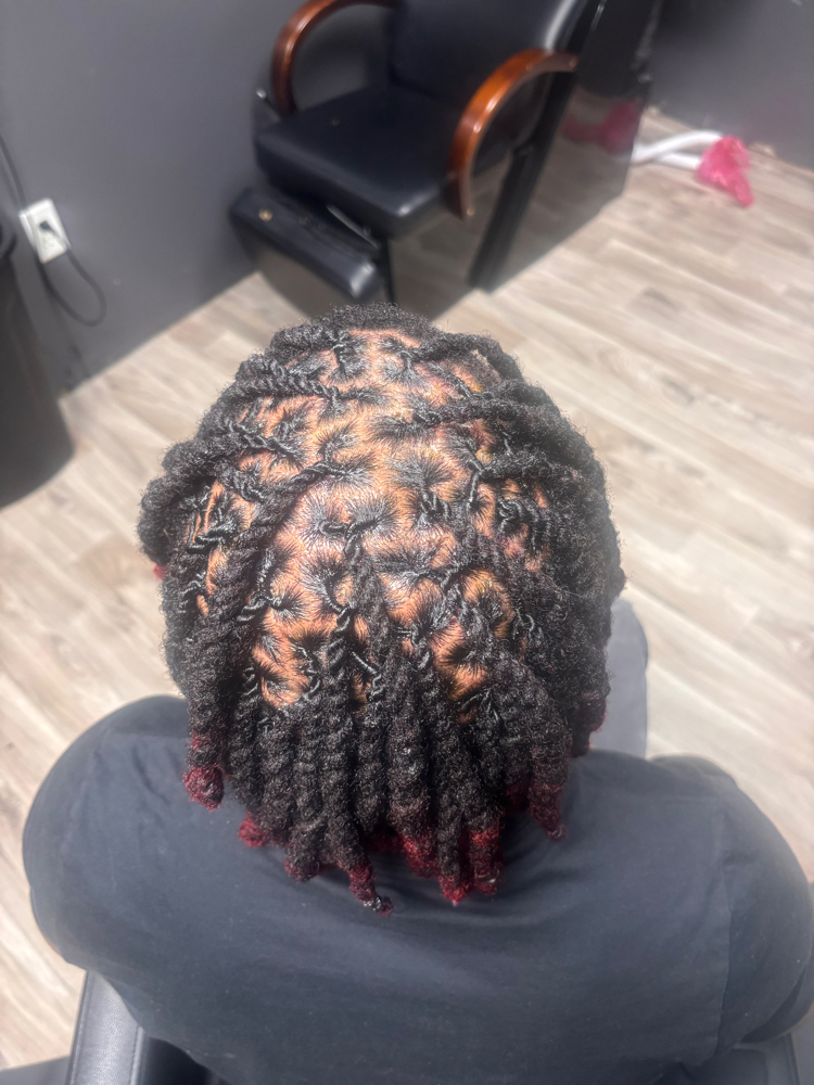Dreads wash,retwist & style half