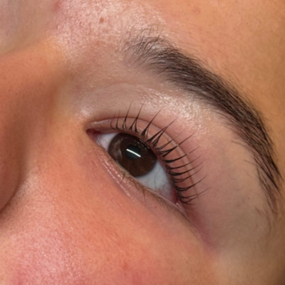 1:1 Korean Lash Lift Training at Skin Refinery in Ozark, MO