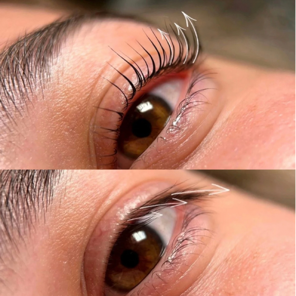 Korean Lash Lift & Tint at AC SKIN STUDIO in Knoxville, TN