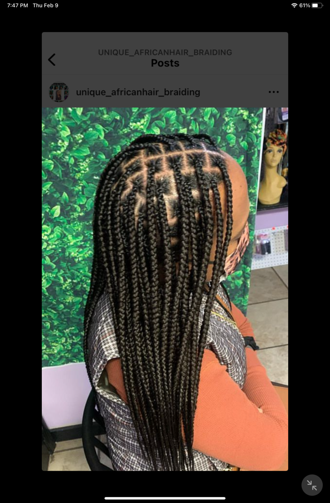 Knotless Braids - Medium/Midback