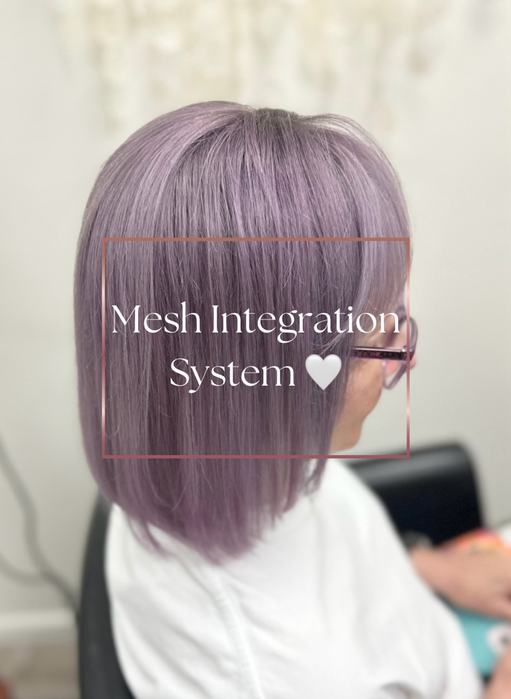 Mesh Integration Install