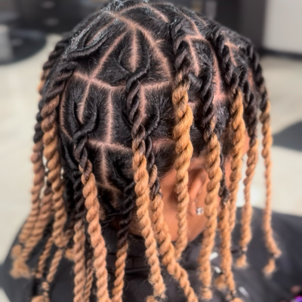 Rope Twists/ Invisible Locs at Lgbeautycollective in Houston, TX