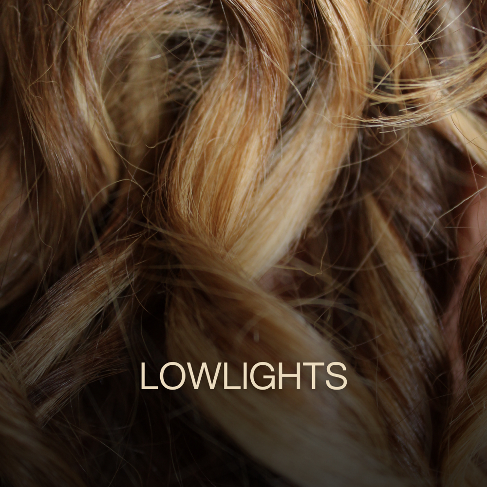 Lowlights at Zemra Salon in Westborough, MA