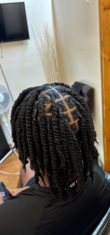 Two Strand Twist