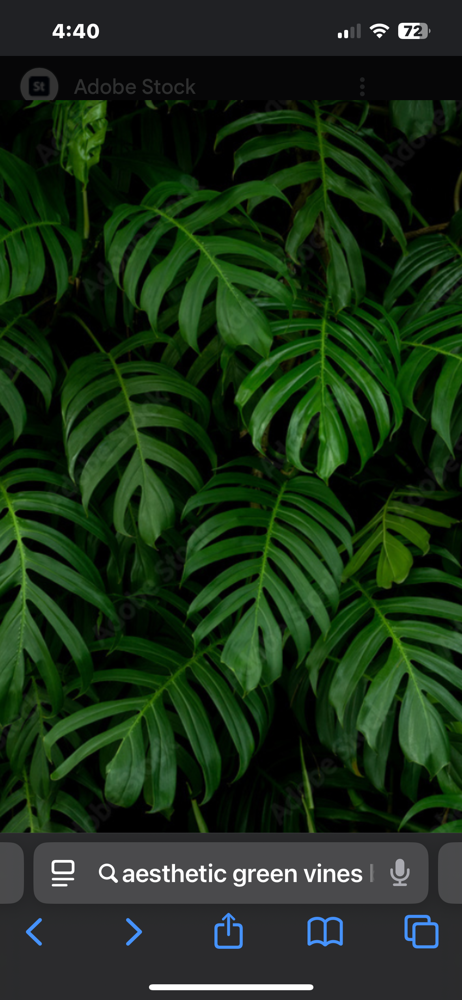 Malibu Color Treatments at Hair Therapy Beauty Lounge by Priscilla in Dover, NJ