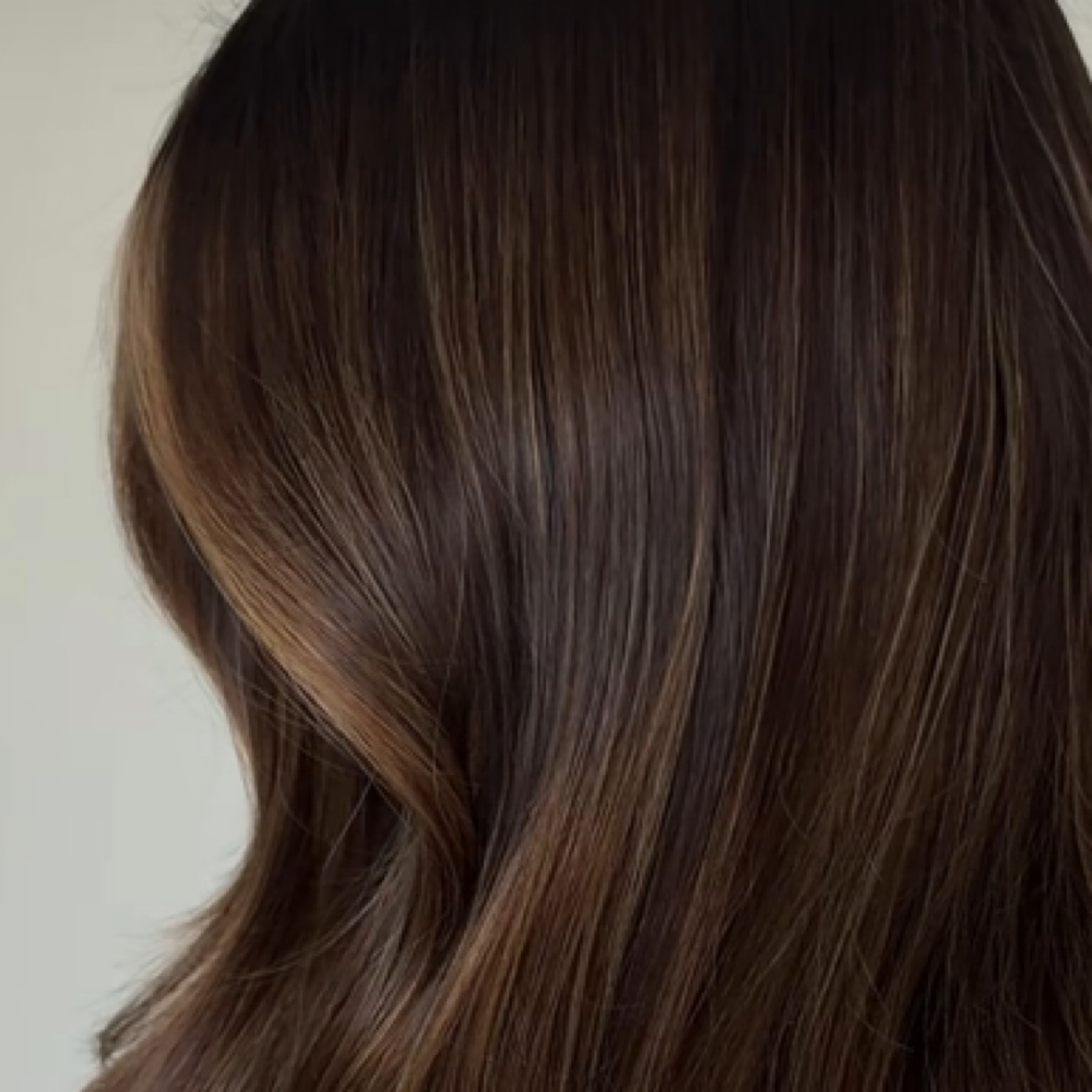 Highlights Full at Aligned Method Beauty Studio in Mahopac, NY