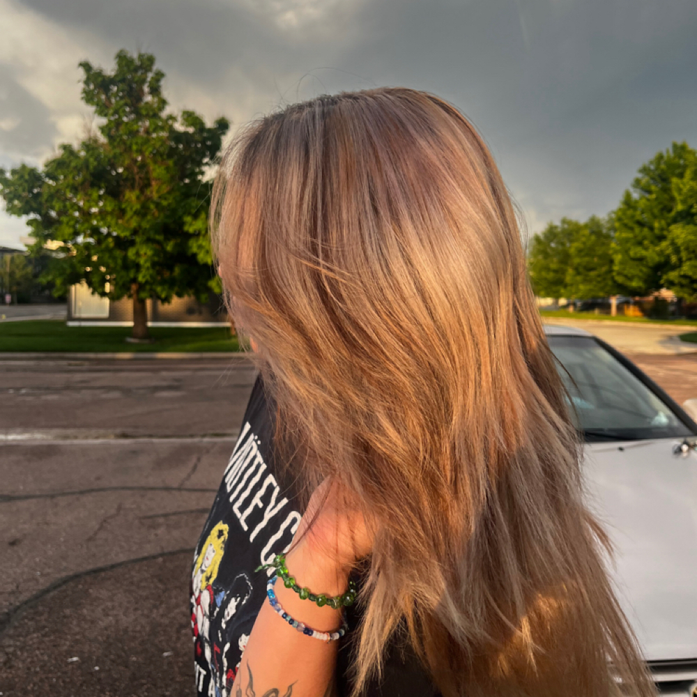 Full highlights at Cosmo Cat in Colorado Springs, CO