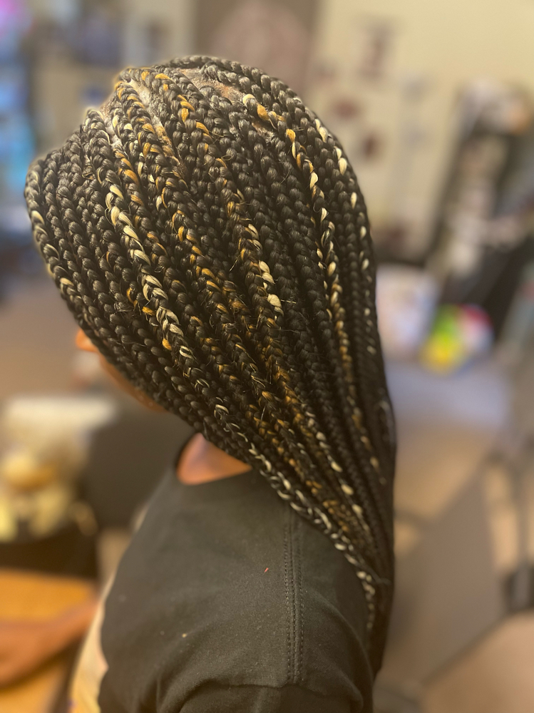 Small/medium Box Braids