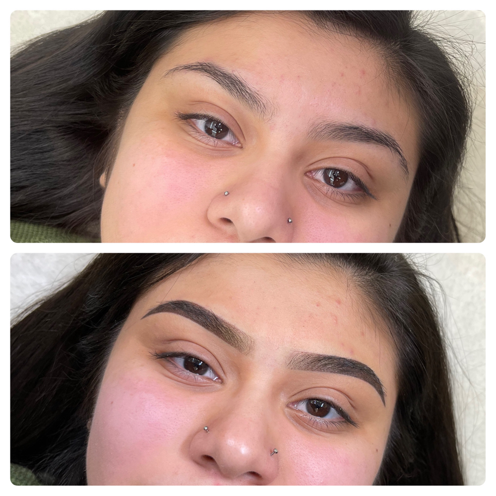 Ombre powder brows ( virgin Brows)