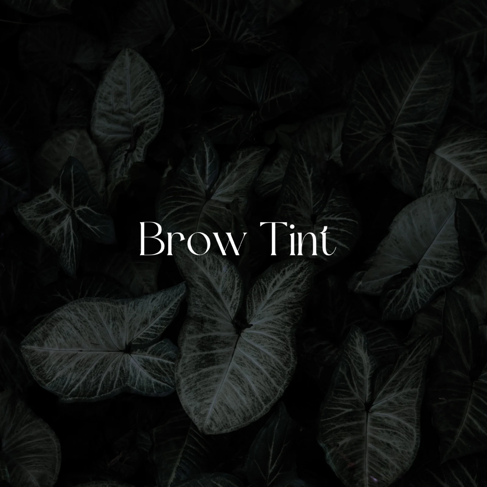 Hybrid Brow Tint