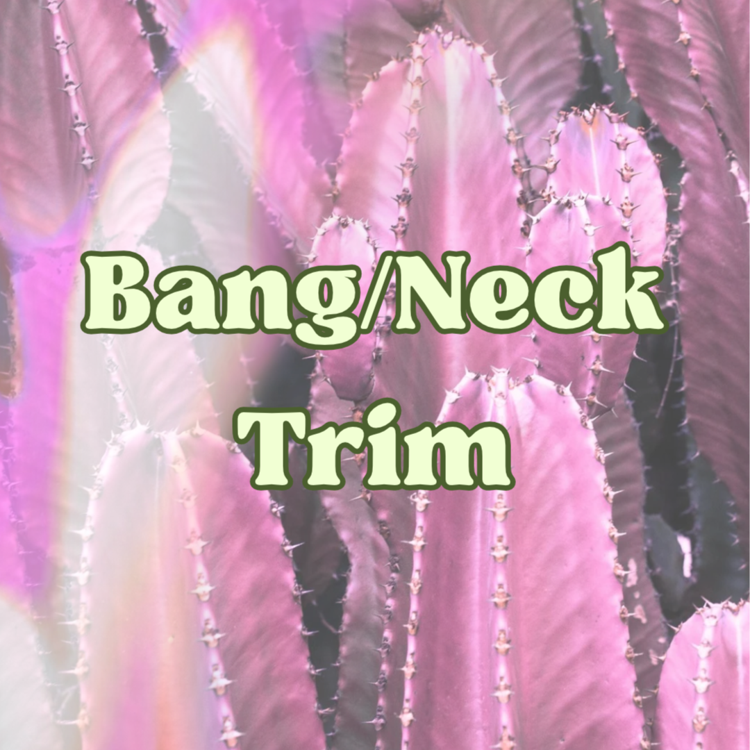 Bang/Neck Trim at Hailey Kay Hair in Minneapolis, MN