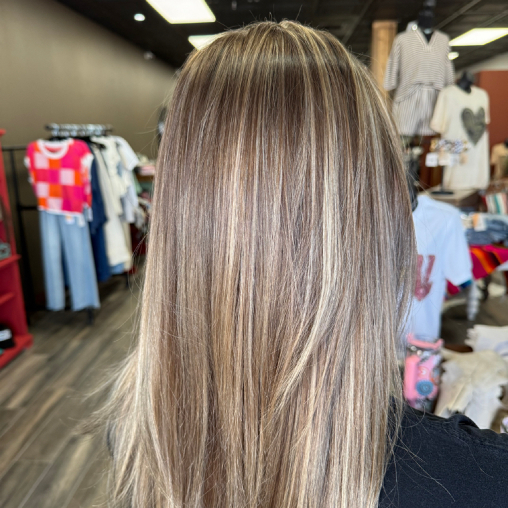 Full Highlights & Lowlights at Desert Rose Beauty Co in Friendswood, TX