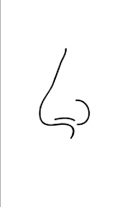 Nose