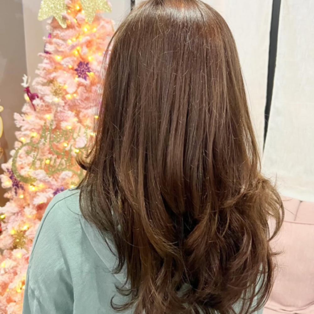 All Over Color + Haircut at Cescily Rodrigues in Fairfield, CA