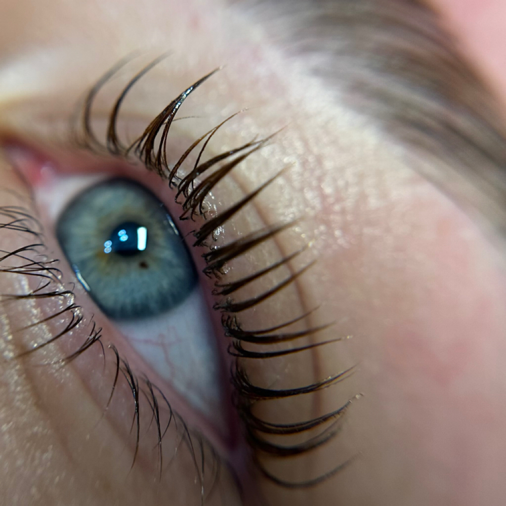 eyelash lifting & tint at Divine Aesthetics in clinton, MA