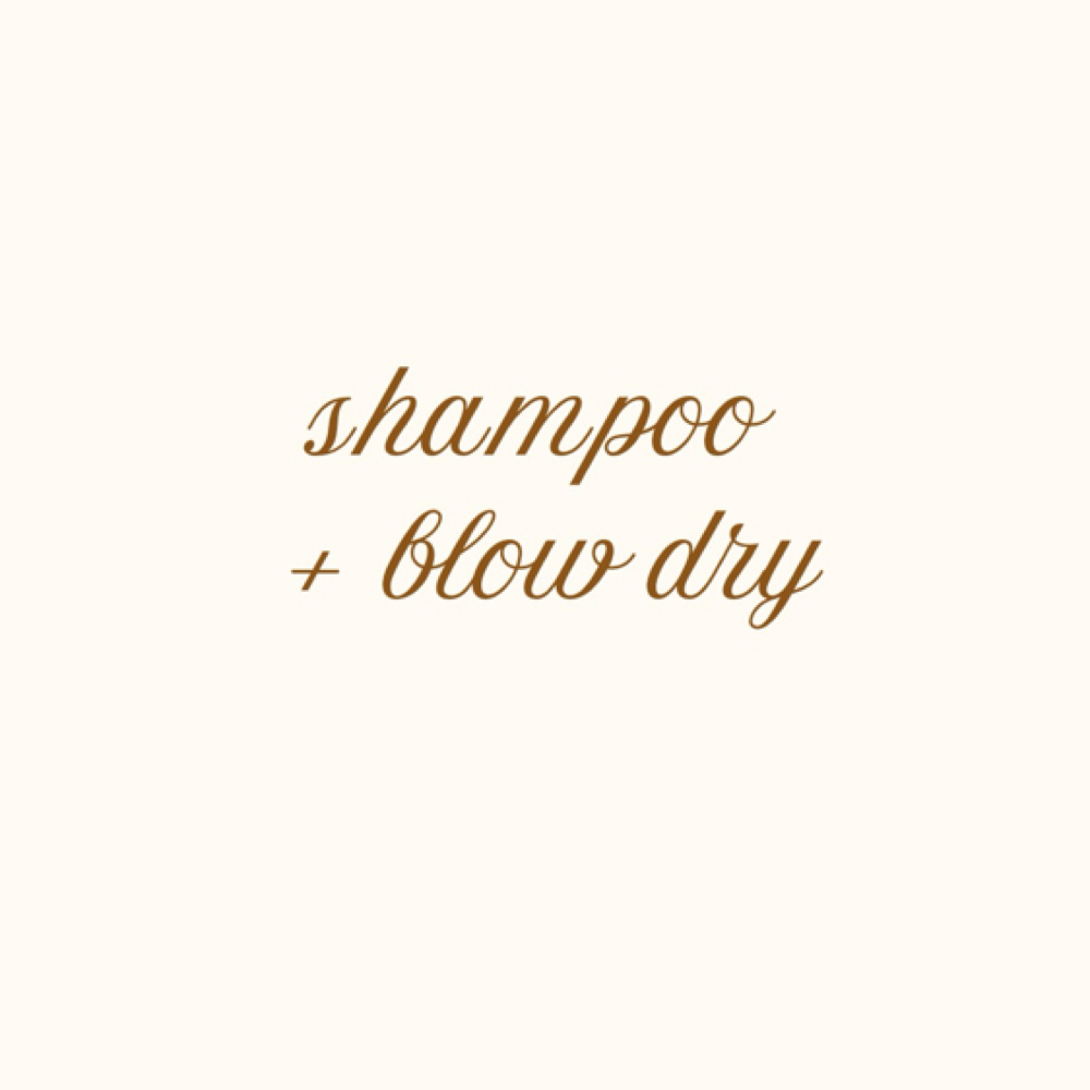 Shampoo-Blow Dry at Haley Gabriel Hair in Round Rock, TX