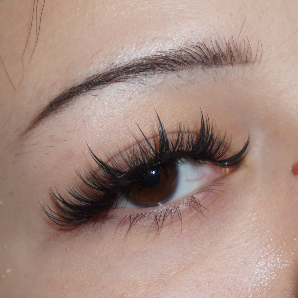 Manga / Anime Full Set