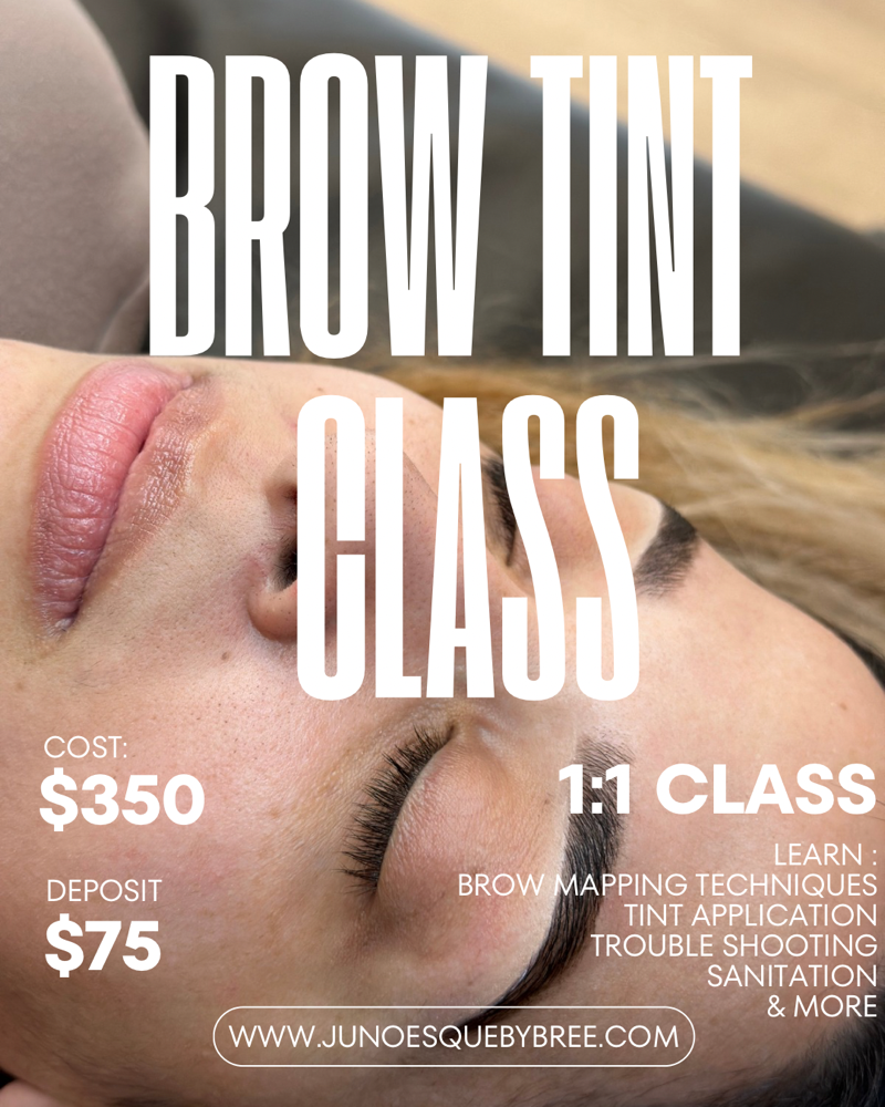1:1 Brow Tint Course