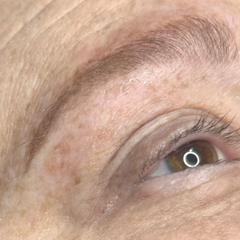 Brow Tint & Wax at Laura's Beauty Lounge in Alexandria, LA