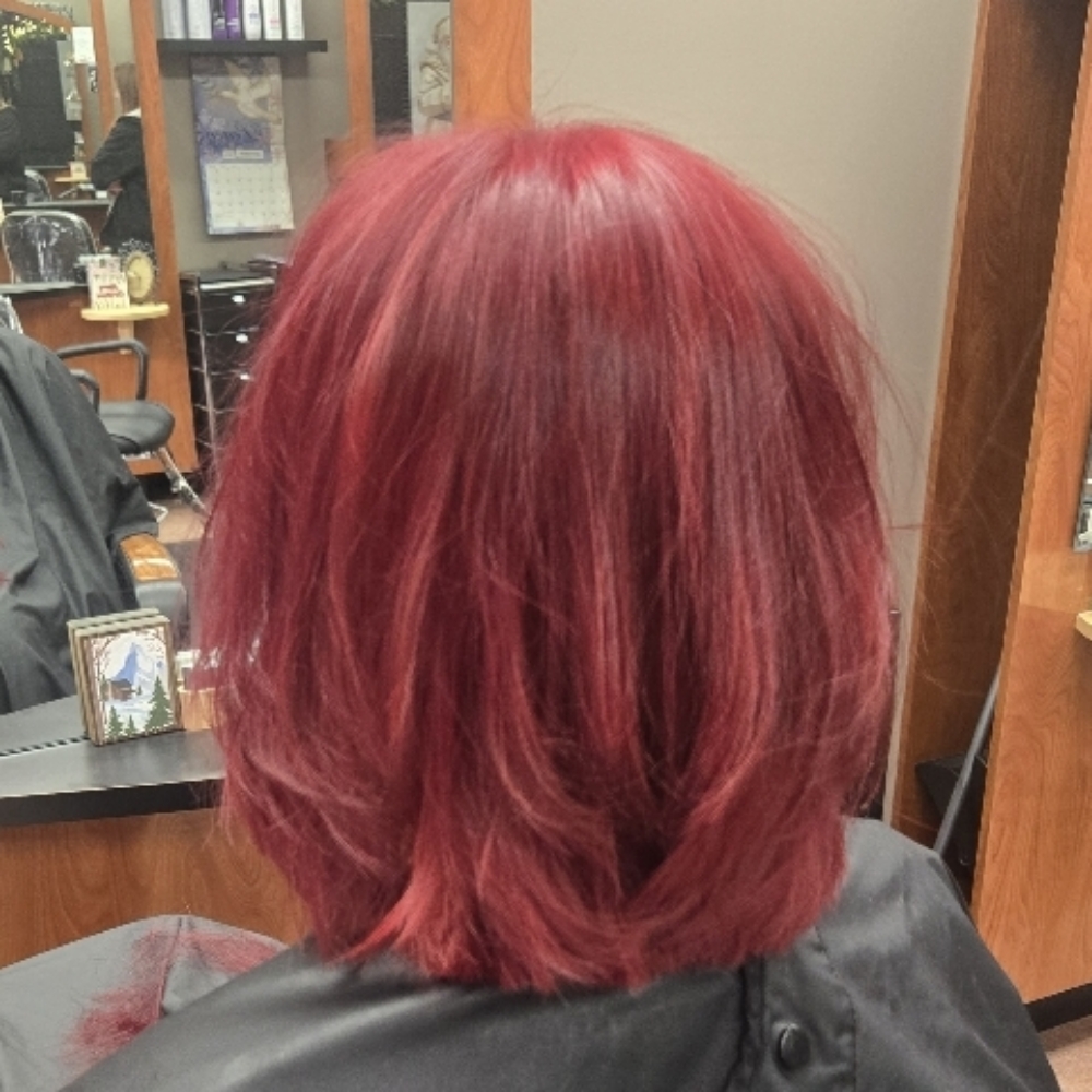 All Over Color at Amyzing Hair LLC in Mayville, WI