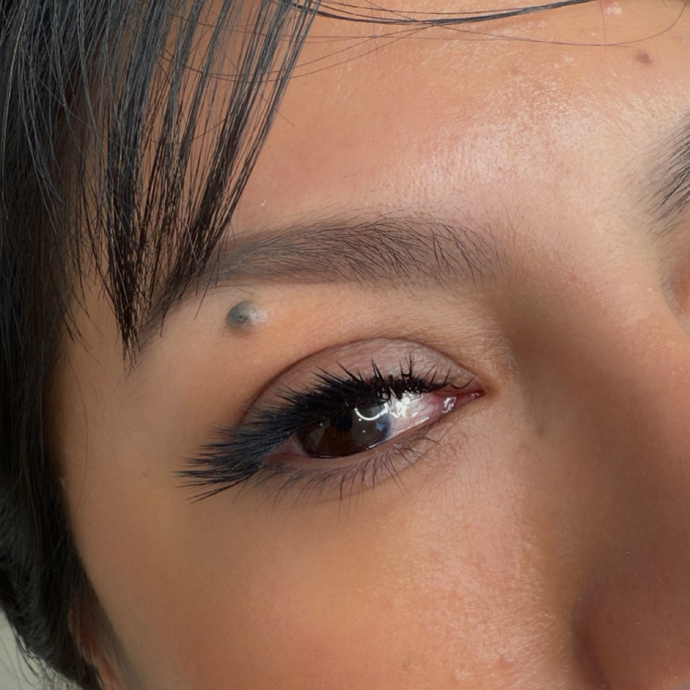 Volume 3D Full Set at SH Lash Beauty in Beverly Hills, CA