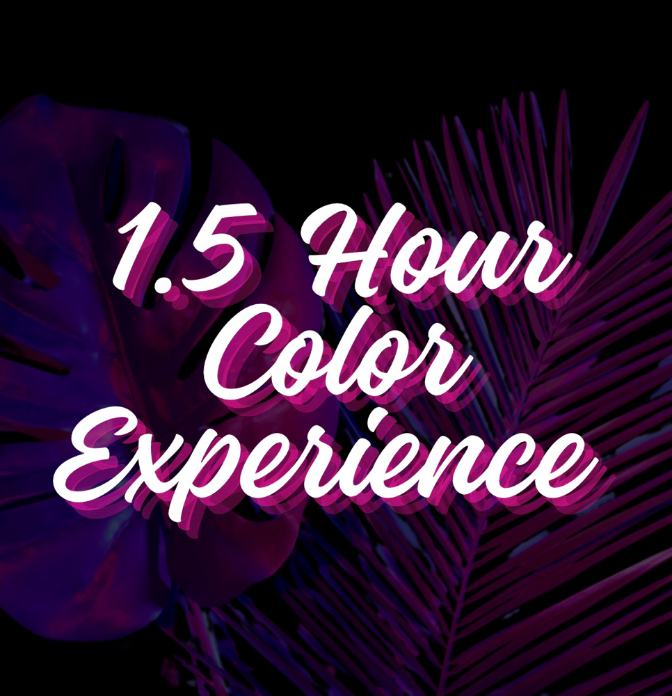 1.5 Hour Color (Partial Higlight)
