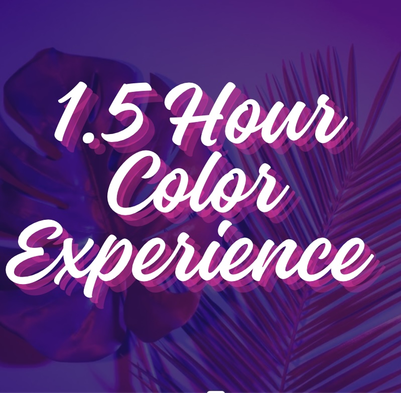 1.5 Hour Color Experience