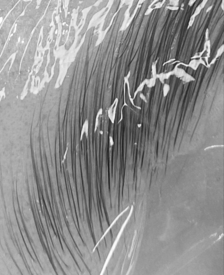 Brow Lamination