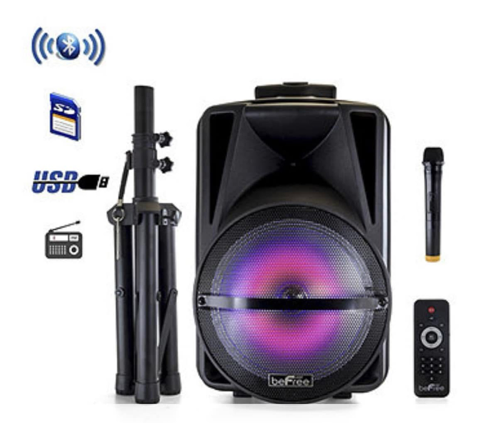 Speaker W/ Mic