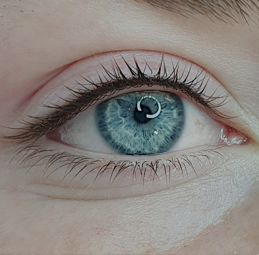 The Liner