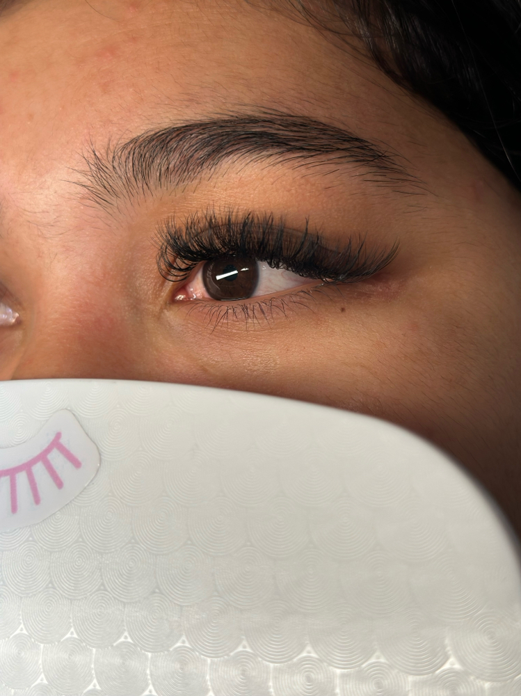 Lash Services