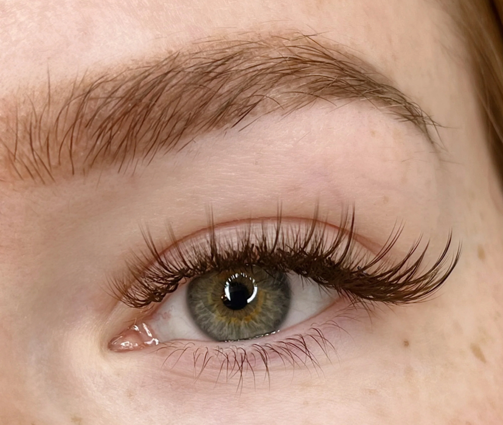 Brown Classic Lashes Full Set