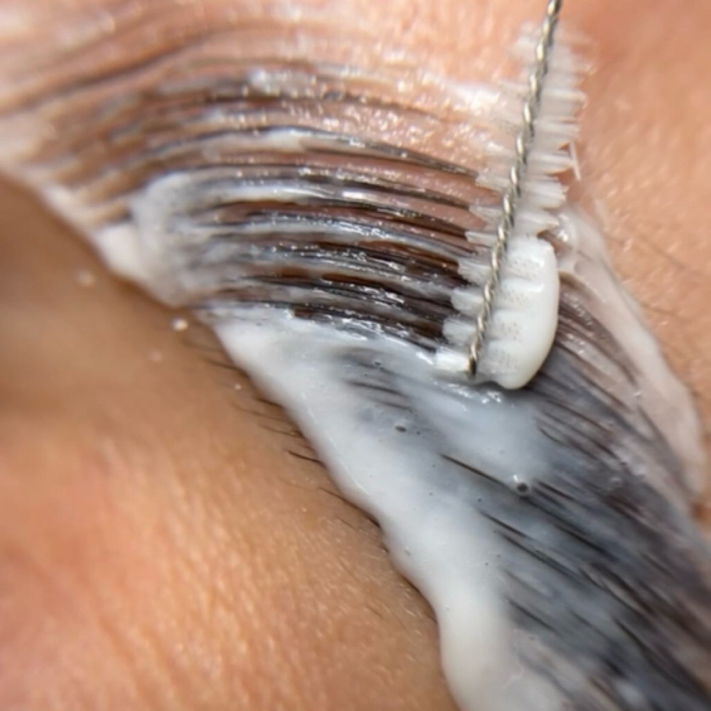 Brow Lamination at Rein Aesthetics & Wellness in Alice, TX