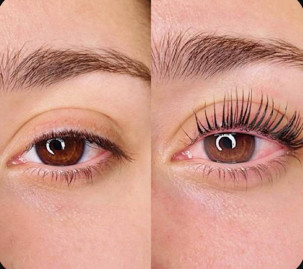 Lash Tint